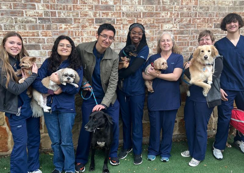 Stonebridge Veterinary Hospital Rockwall Veterinary Hospital